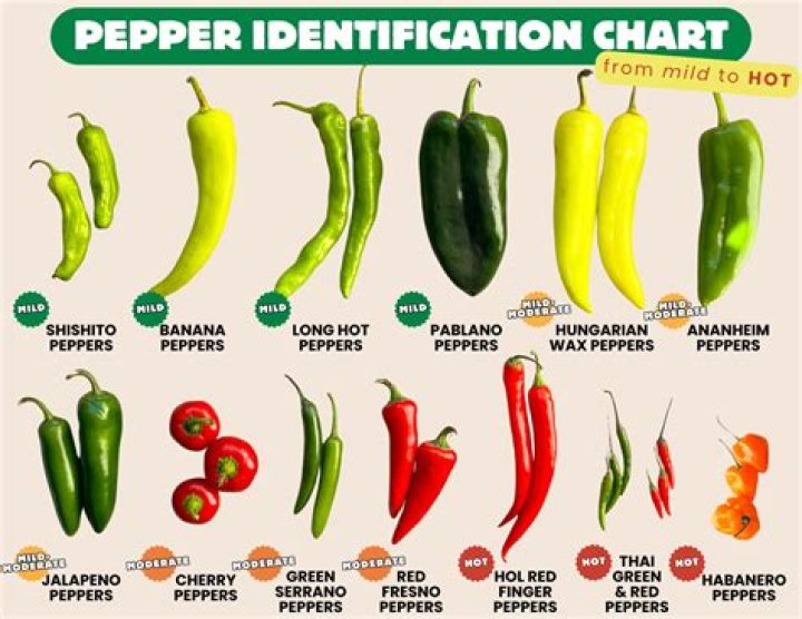 What's the best tasting pepper?