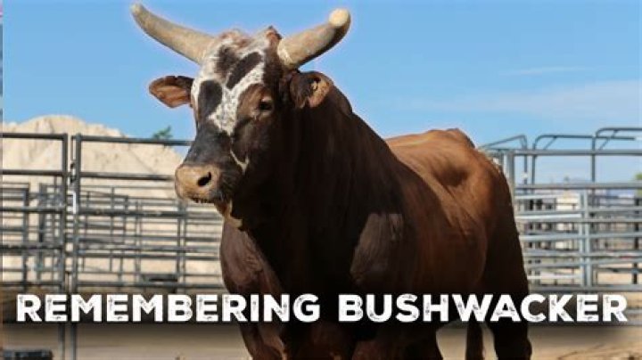 When did Bushwacker retire?