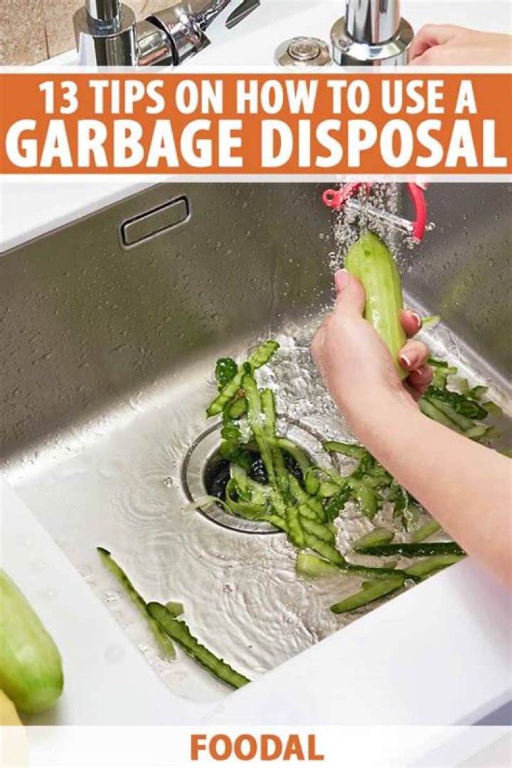 When did garbage disposals become popular?