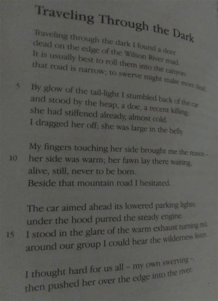 When was traveling through the dark written?