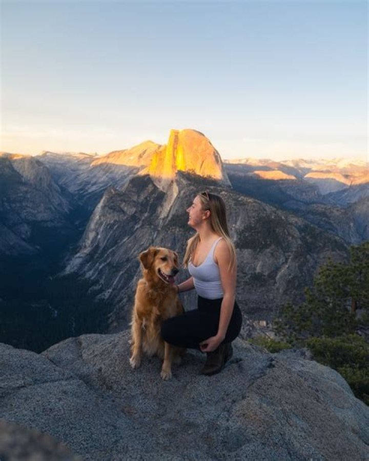 Where can dogs stay in Yosemite?