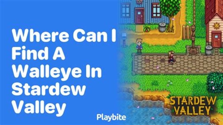 Where can I find blueberry seeds in Stardew Valley?