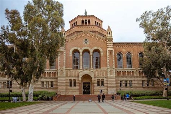 Where did Ray Bradbury go to college?