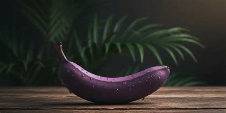 Where do purple bananas grow?
