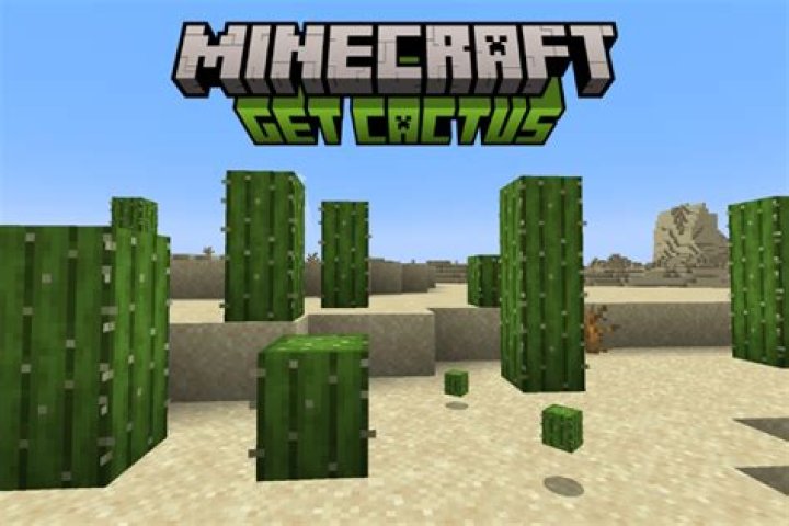 Where do you find cactus in Minecraft?