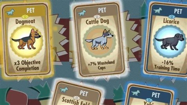 Where do you get pets in fallout shelter?