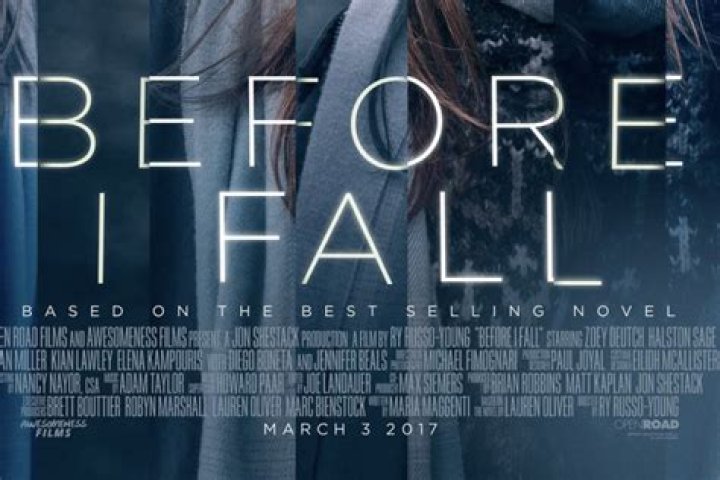 Where does before I fall take place in the book?