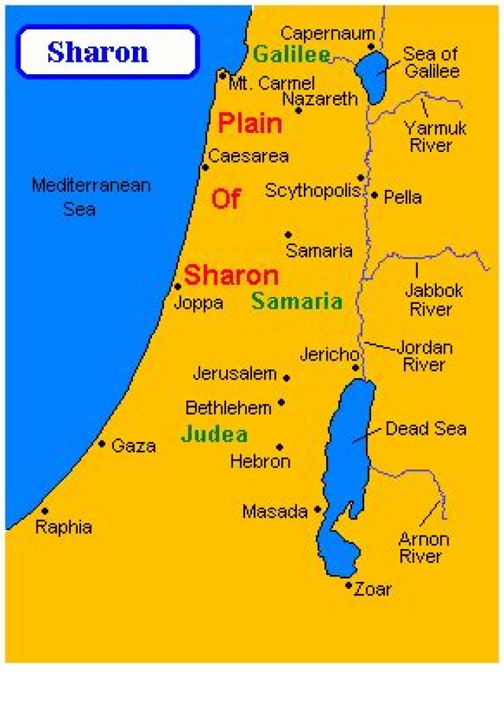 Where is Sharon in the Bible?