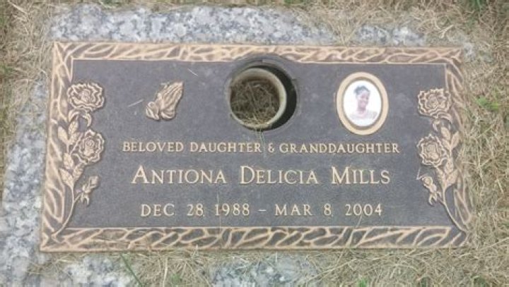 Where is William Vincent Brown Now?