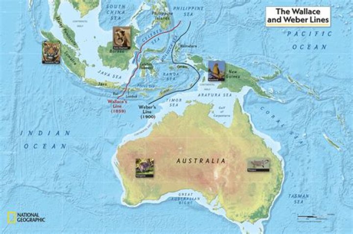 Where Was Father Stu Filmed? Los Angeles Filming Locations and Where Is It Streaming?