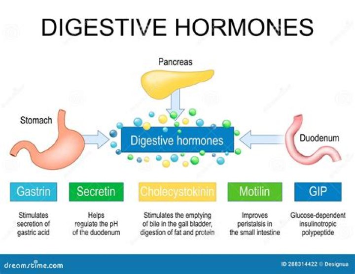 Which gut hormone decreases gastric emptying?