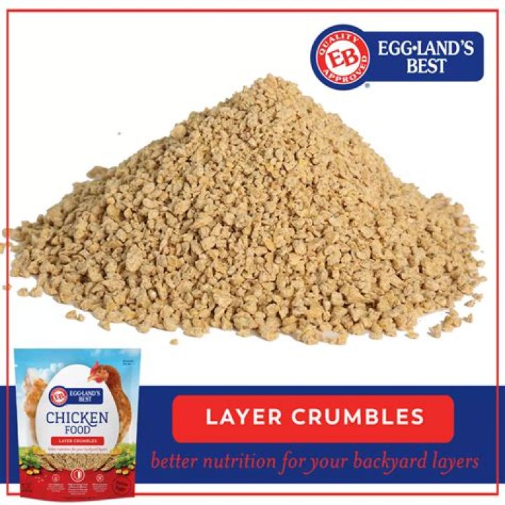 Which is better for chickens pellets or crumbles?