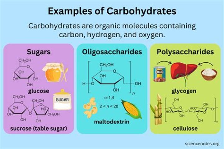 Which molecule is not a carbohydrate mastering biology?