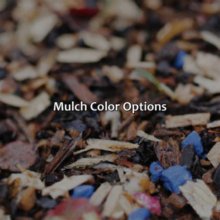 Which mulch holds its color longest?