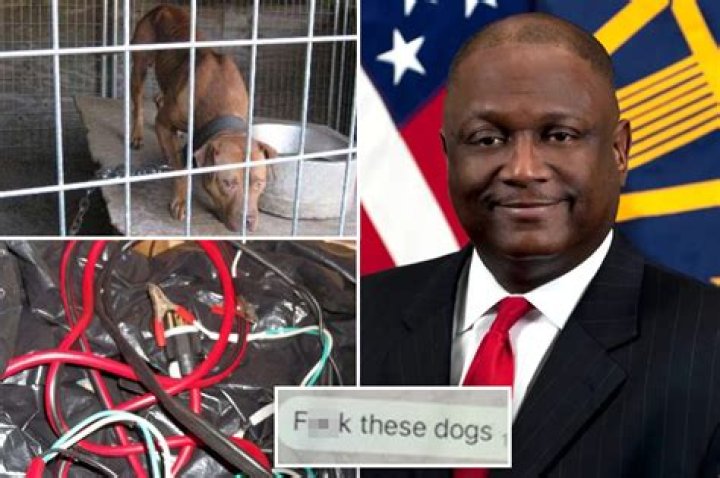 Who is Frederick Douglass Moorefield Jr.? Pentagon official accused of running illegal dog fight ring