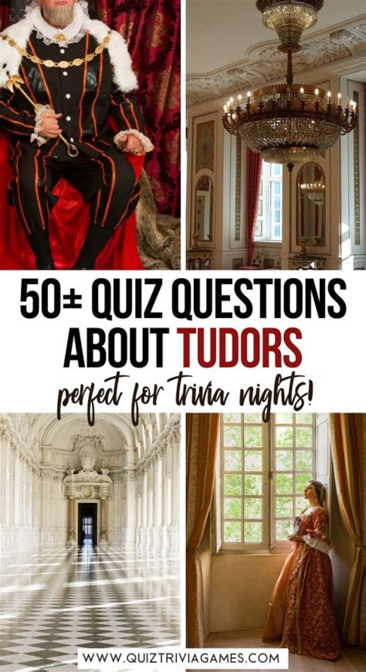 Who is Lord Surrey in the Tudors?