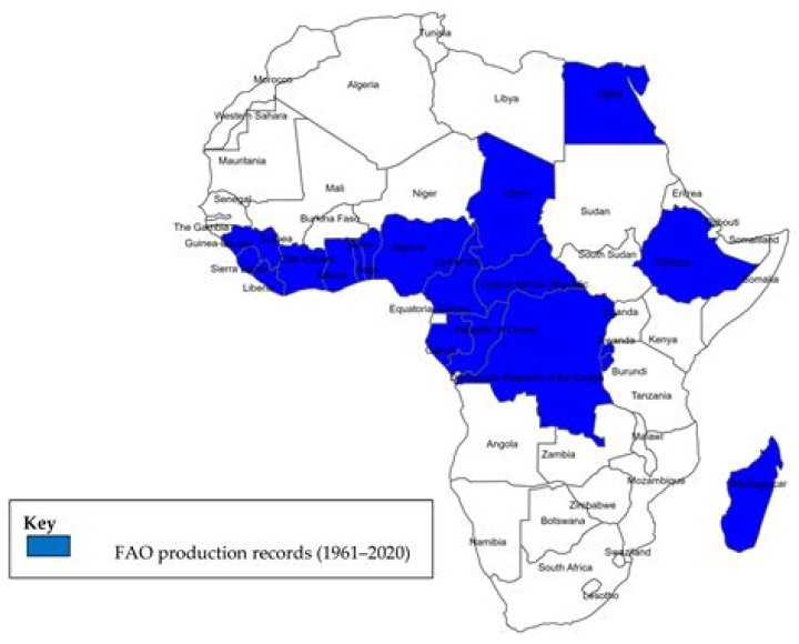Who is the biggest liar in west Africa?
