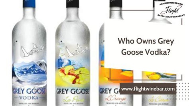 Who owns Grey Goose Vodka?