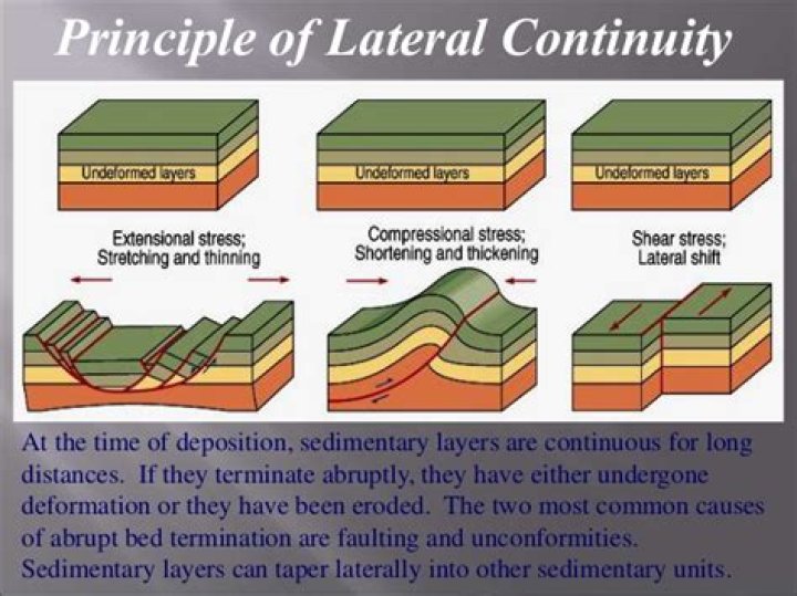 Who wrote the principle of lateral continuity?