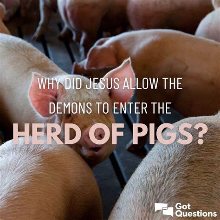 Why did Jesus allow the demons to enter the herd of pigs?