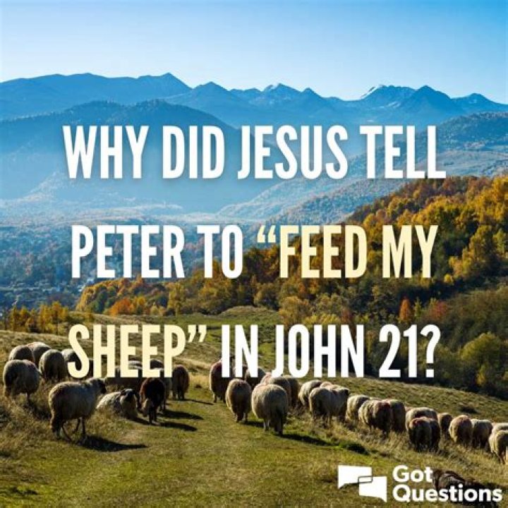 Why did Jesus tell Peter to “feed my sheep” in John 21?