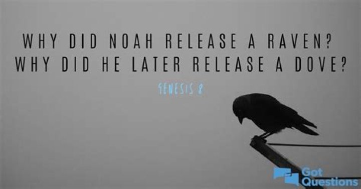 Why did Noah release a raven? Why did he later release a dove (Genesis 8)?