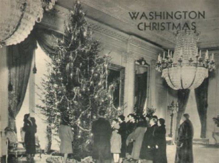 Why did Roosevelt ban Christmas trees in the White House?