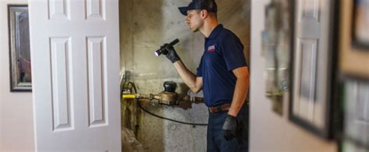 Why do I have ants in my bathtub?