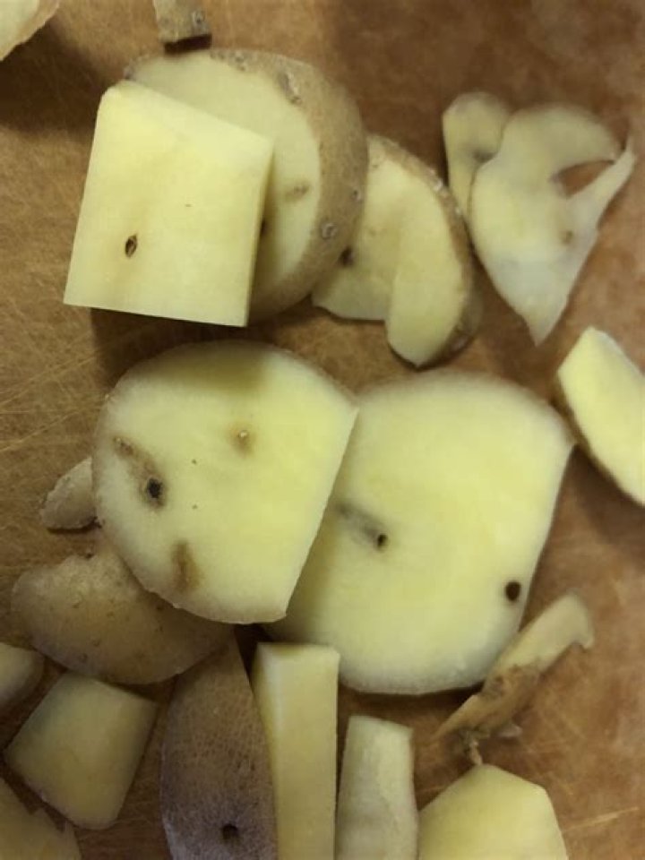Why do my sweet potatoes have holes in them?