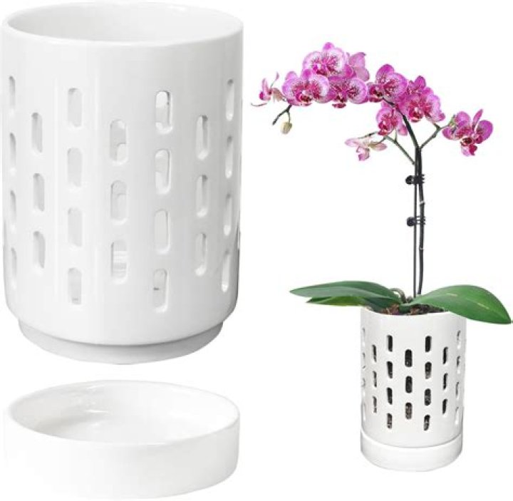 Why do orchid planters have holes?