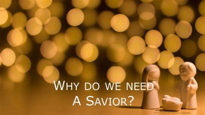 Why do we need a Savior?