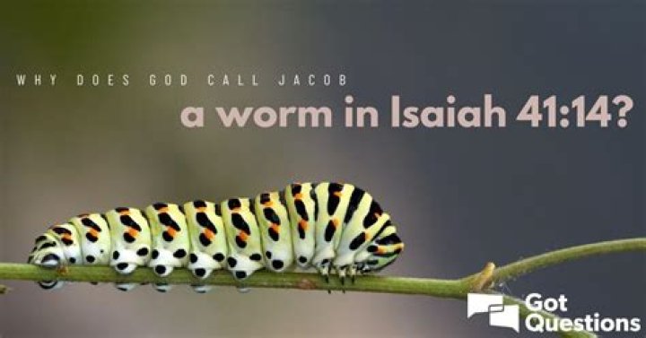 Why does God call Jacob a worm in Isaiah 41:14?