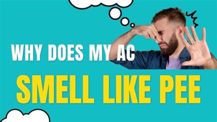 Why does my car AC smell like oil?