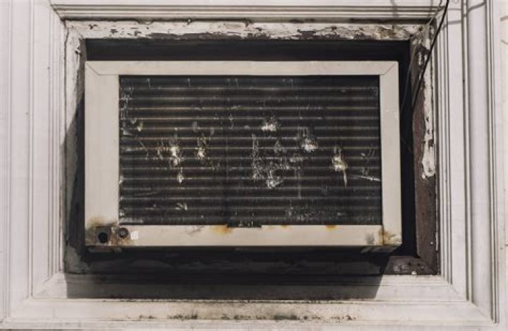 Why does my window AC unit have mold?