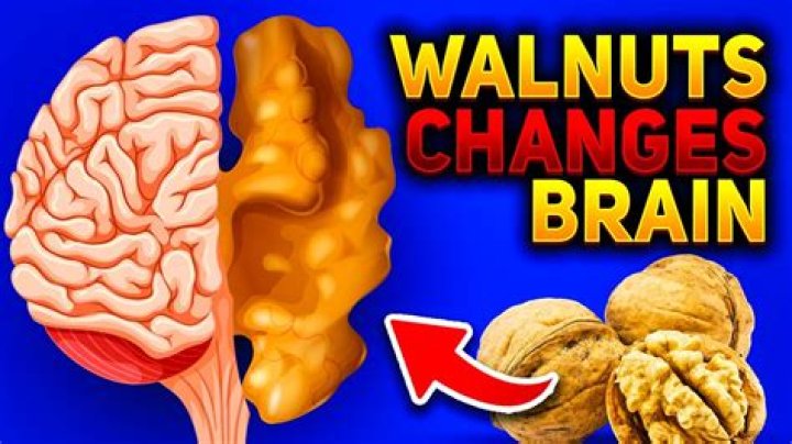 Why is a walnut shaped like a brain?