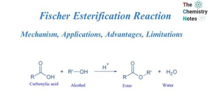 Why is Fischer esterification important?