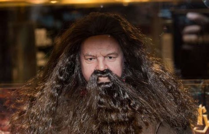 Why is Hagrid not allowed to do magic?