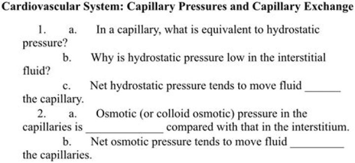 Why is hydrostatic pressure low in the interstitial fluid?