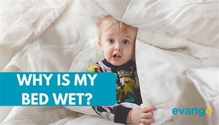 Why is my bed wet underneath?