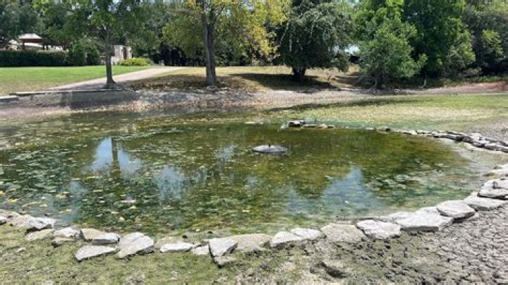 Why is my farm pond losing water?