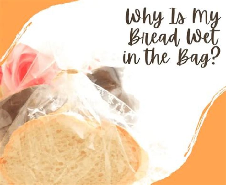 Why is there moisture in my bread bag?