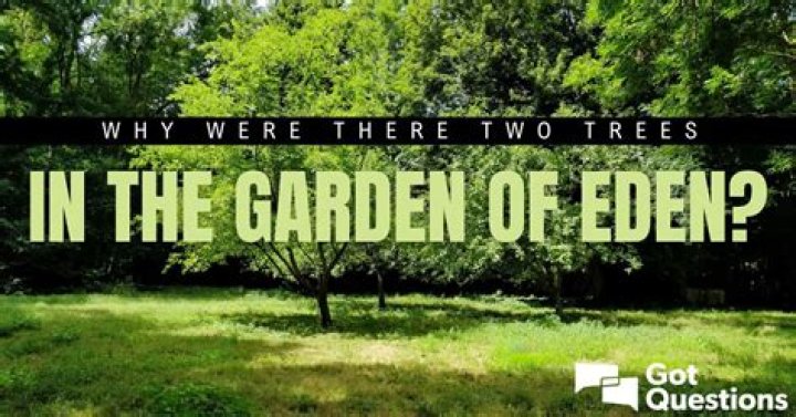 Why were there two trees in the Garden of Eden?