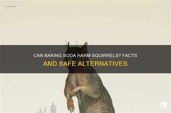 Will baking soda kill a squirrel?