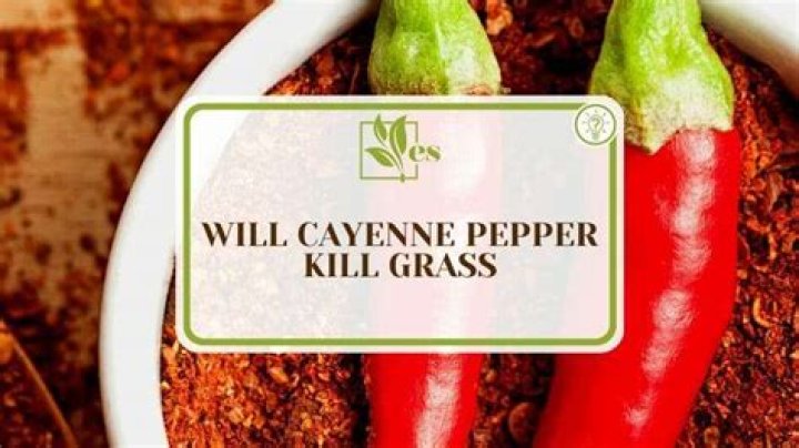 Will cayenne pepper keep dogs off lawn?