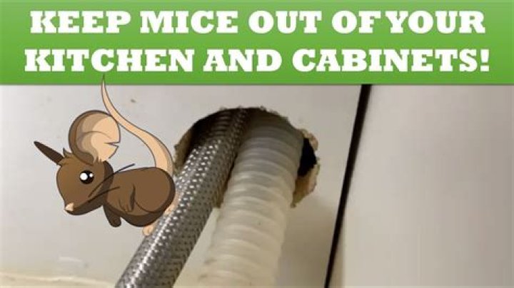 Will chicken wire keep mice out?