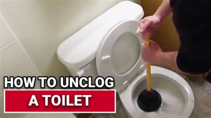 Will Drano unclog toilet?