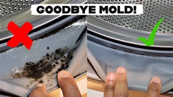 Will Dry Cleaning remove mold from clothes?