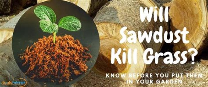 Will grass grow in sawdust?