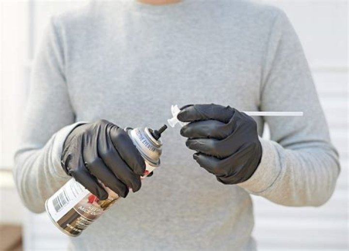 Will mice eat spray foam?