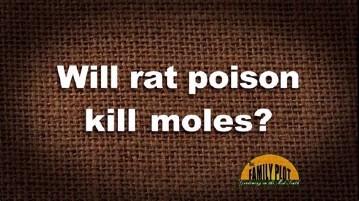 Will rat poison kill moles?